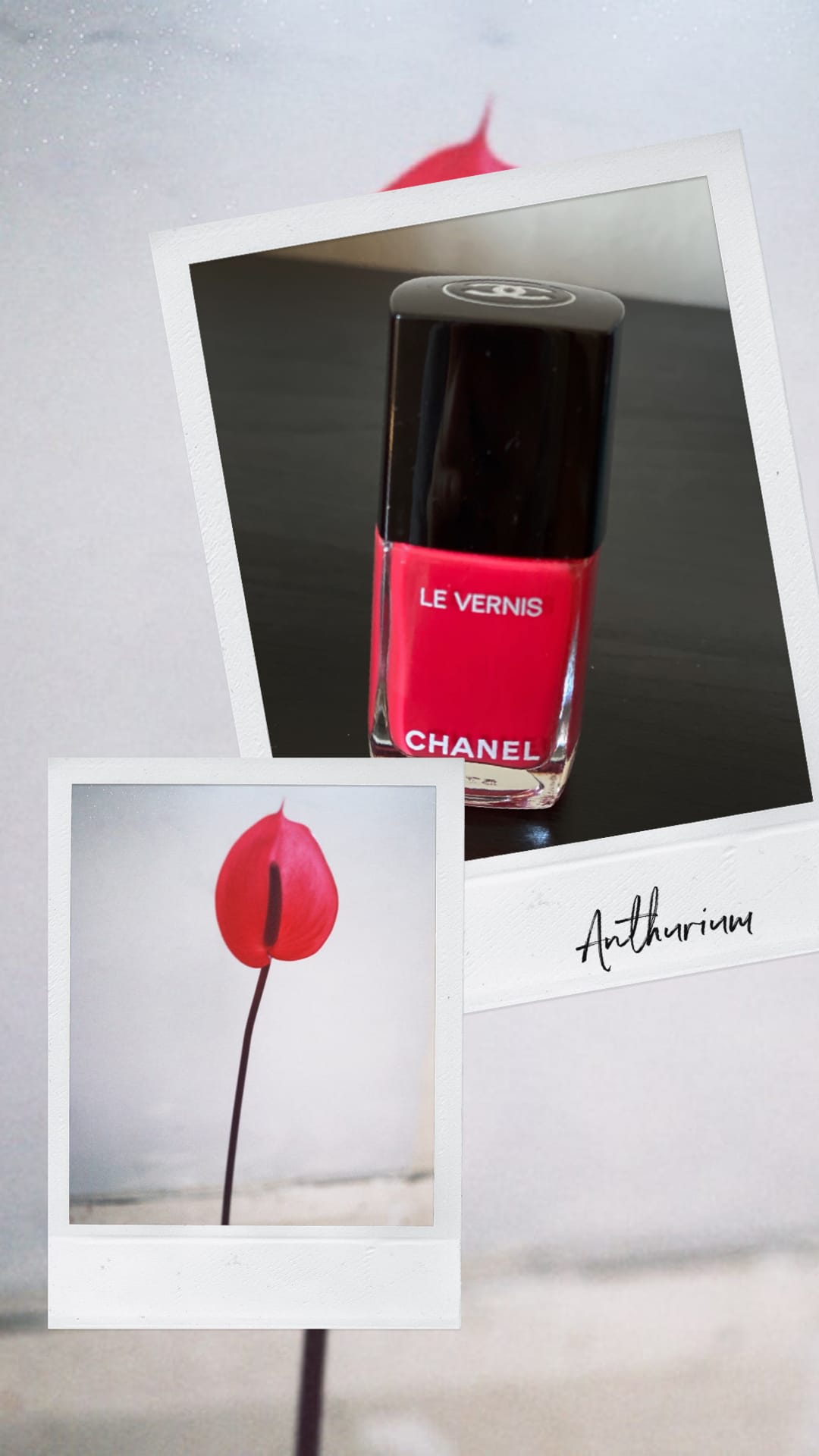 Les Fleurs de Chanel - il nuovo make-up per questa primavera